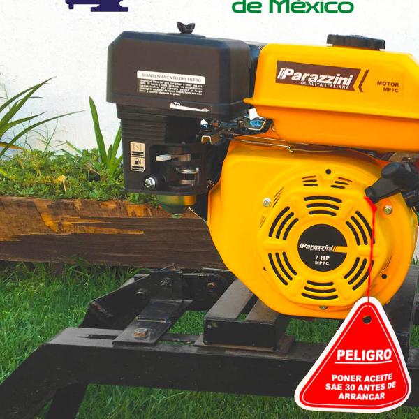 PICADORA CHICA MOTOR PARAZZINI 7HP